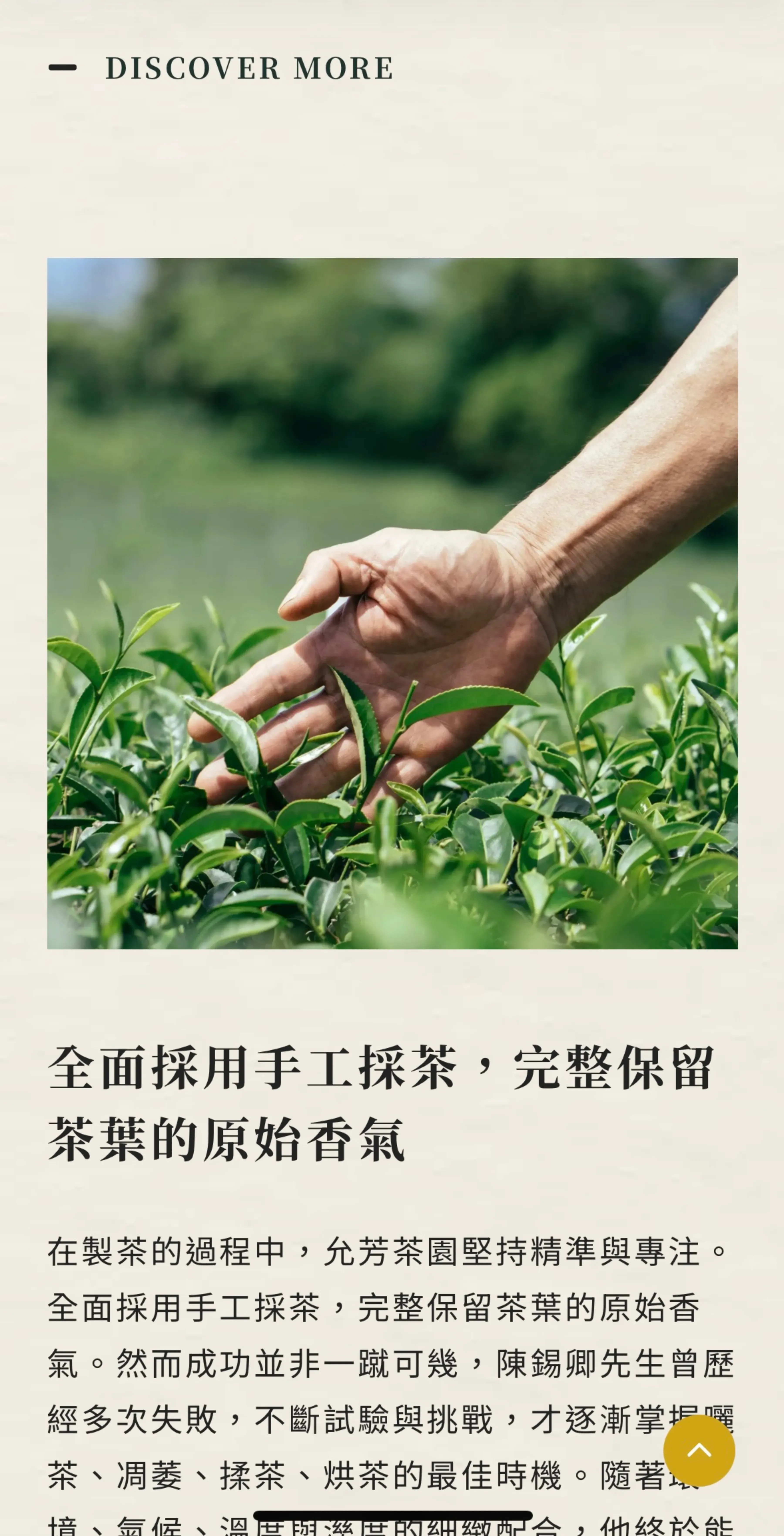 允芳茶園mb 02