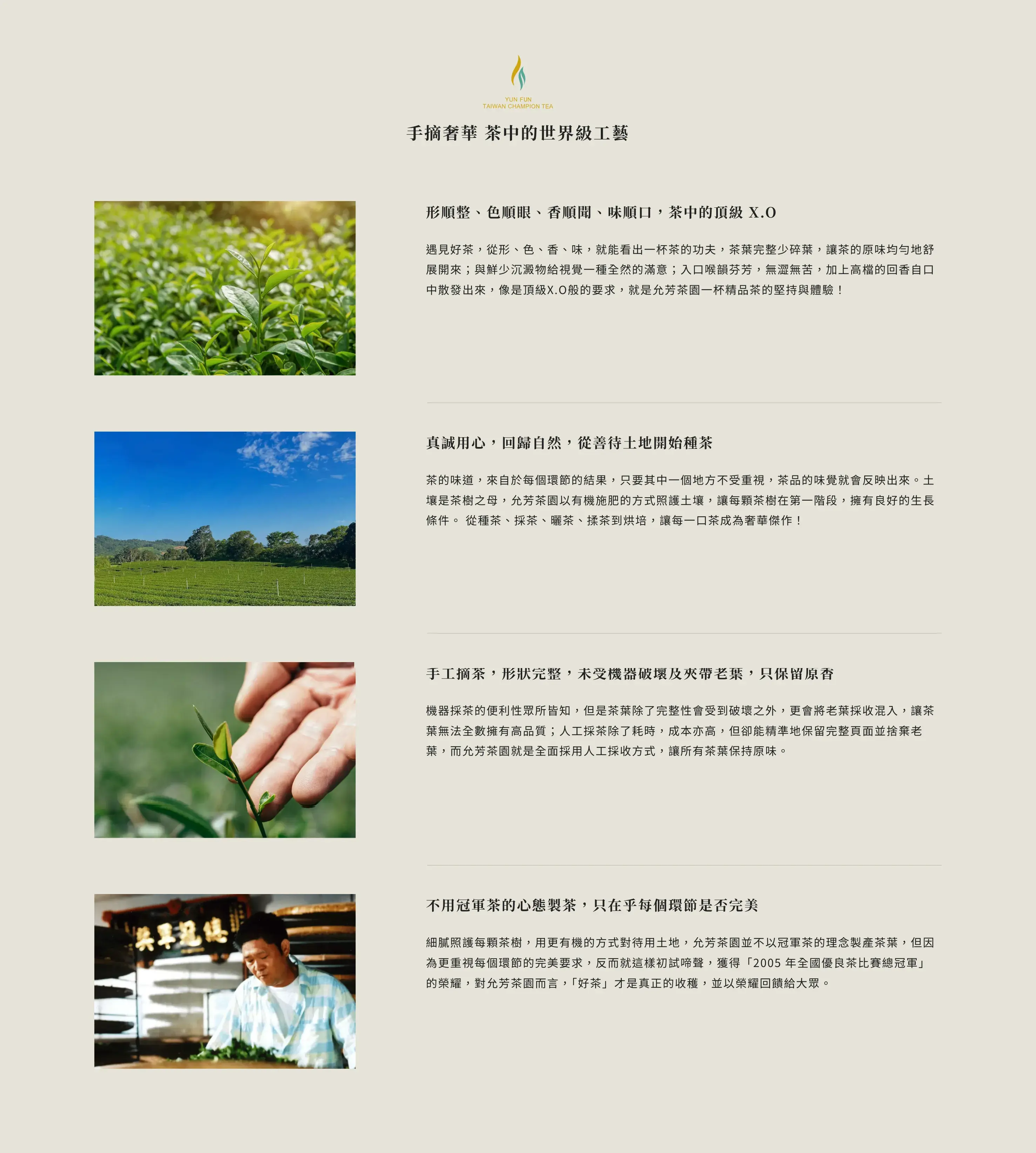 允芳茶園 06